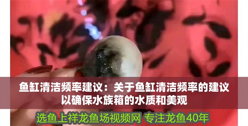 魚缸清潔頻率建議：關于魚缸清潔頻率的建議以確保水族箱的水質和美觀 魚缸清潔頻率建議：關于魚缸清潔頻率的建議以確保水族箱的水質和美觀 魚缸百科