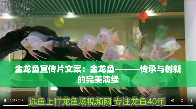 金龍魚宣傳片文案：金龍魚———傳承與創新的完美演繹