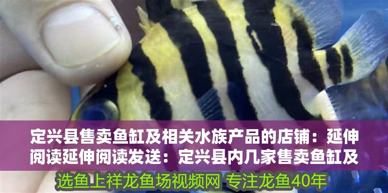 定興縣售賣魚缸及相關水族產品的店鋪：延伸閱讀延伸閱讀發送：定興縣內幾家售賣魚缸及相關水族產品的店鋪