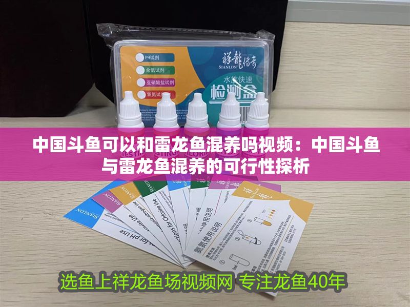 中國斗魚可以和雷龍魚混養嗎視頻：中國斗魚與雷龍魚混養的可行性探析