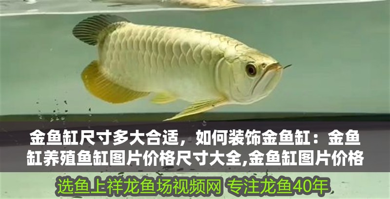 金魚缸尺寸多大合適，如何裝飾金魚缸：金魚缸養殖魚缸圖片價格尺寸大全,金魚缸圖片價格大全