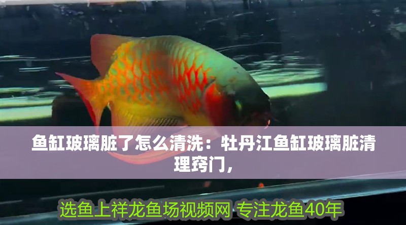 魚缸玻璃臟了怎么清洗：牡丹江魚缸玻璃臟清理竅門，