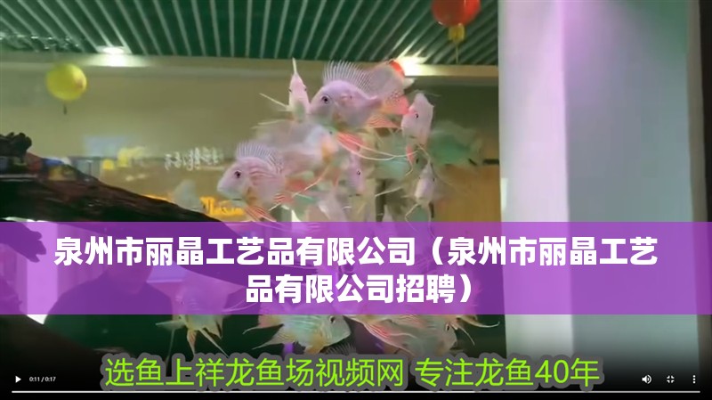 泉州市麗晶工藝品有限公司（泉州市麗晶工藝品有限公司招聘）