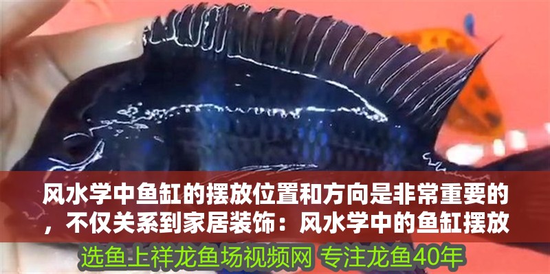 風(fēng)水學(xué)中魚缸的擺放位置和方向是非常重要的，不僅關(guān)系到家居裝飾：風(fēng)水學(xué)中的魚缸擺放位置和方向