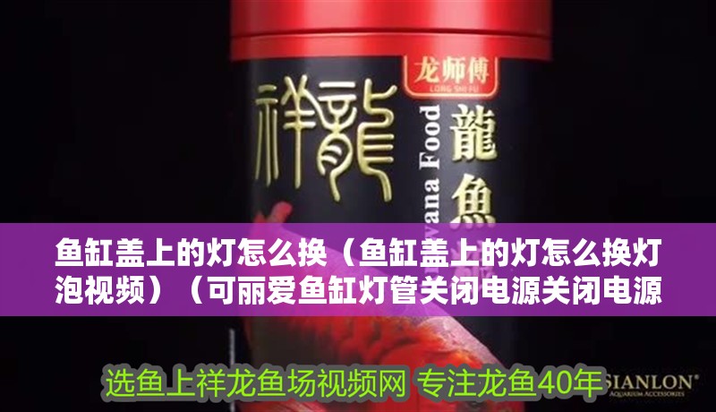 魚缸蓋上的燈怎么換（魚缸蓋上的燈怎么換燈泡視頻）（可麗愛魚缸燈管關閉電源關閉電源，魚缸燈光一天可以不開燈） 魚缸蓋上的燈怎么換（魚缸蓋上的燈怎么換燈泡視頻）（可麗愛魚缸燈管關閉電源關閉電源，魚缸燈光一天可以不開燈） 魚缸百科