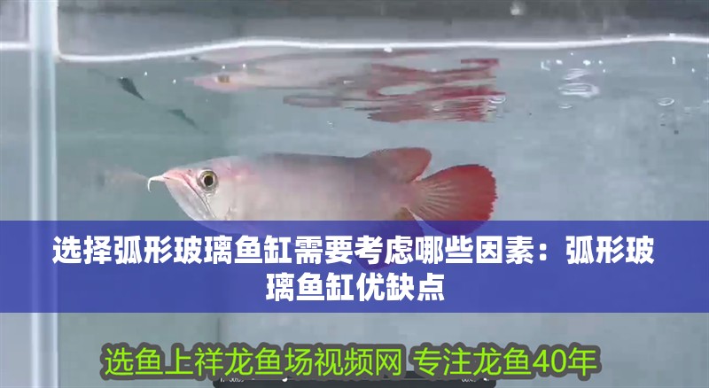 選擇弧形玻璃魚缸需要考慮哪些因素：弧形玻璃魚缸優缺點