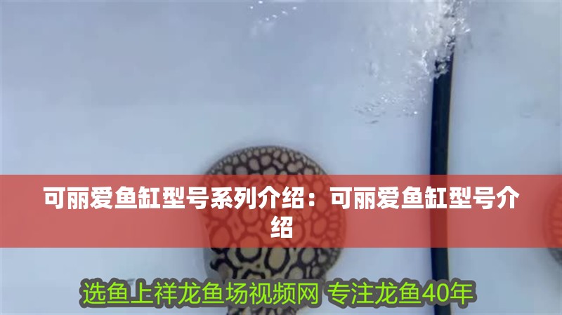 魚缸過濾器選購指南:自制魚缸過濾器魚缸上置過濾器對于養魚愛好者的必備知識 可麗愛魚缸型號系列介紹:可麗愛魚缸型號介紹 魚缸百科 可麗愛魚缸型號系列介紹:可麗愛魚缸型號介紹 可麗愛魚缸型號系列介紹:可麗愛魚缸型號介紹 魚缸百科