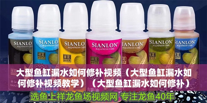 大型魚缸漏水如何修補視頻（大型魚缸漏水如何修補視頻教學）（大型魚缸漏水如何修補）