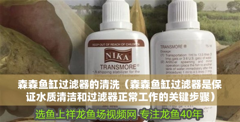 森森魚缸過濾器的清洗（森森魚缸過濾器是保證水質清潔和過濾器正常工作的關鍵步驟）