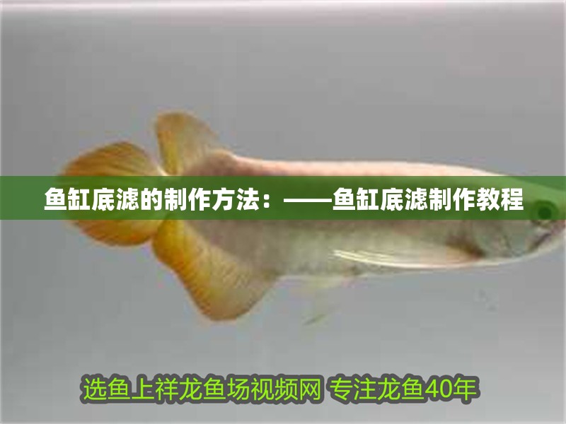 魚缸底濾的制作方法：——魚缸底濾制作教程