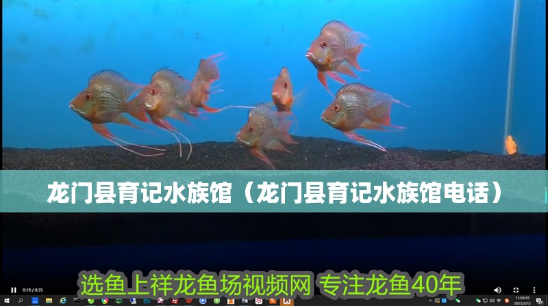 龍門縣育記水族館（龍門縣育記水族館電話）