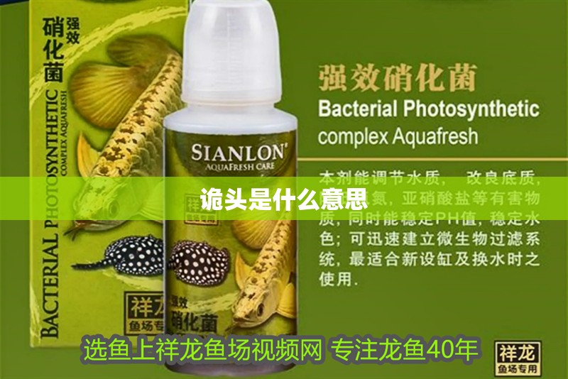 詭頭是什么意思