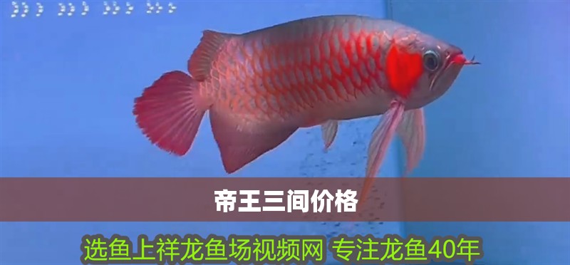 帝王三間價(jià)格