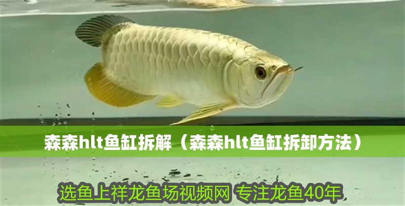 森森h(huán)lt魚缸拆解（森森h(huán)lt魚缸拆卸方法）