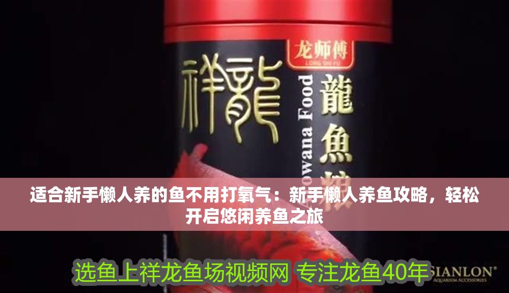 適合新手懶人養(yǎng)的魚不用打氧氣：新手懶人養(yǎng)魚攻略，輕松開啟悠閑養(yǎng)魚之旅