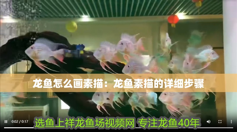 龍魚怎么畫素描：龍魚素描的詳細步驟