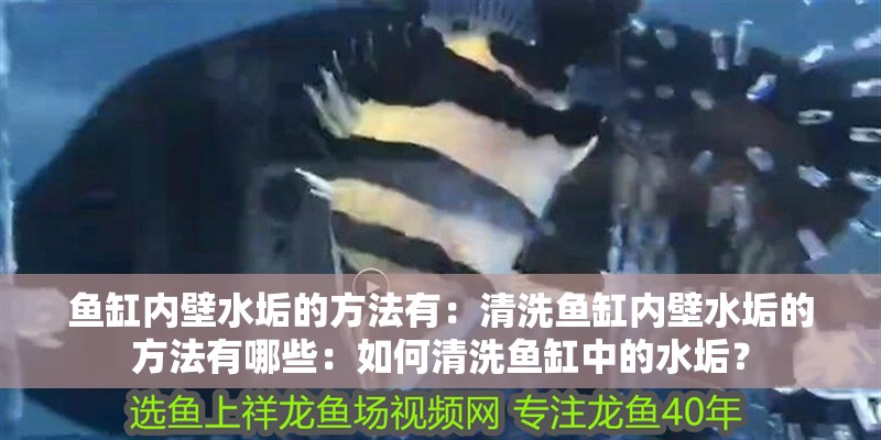 魚缸內壁水垢的方法有：清洗魚缸內壁水垢的方法有哪些：如何清洗魚缸中的水垢？