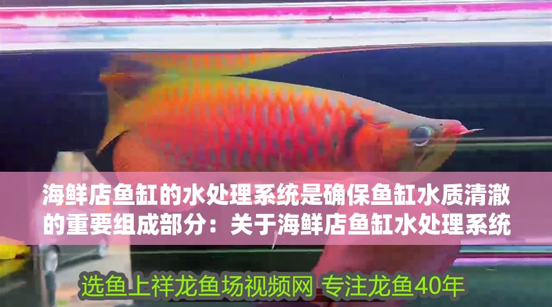 海鮮店魚缸的水處理系統(tǒng)是確保魚缸水質(zhì)清澈的重要組成部分：關(guān)于海鮮店魚缸水處理系統(tǒng)的相關(guān)信息