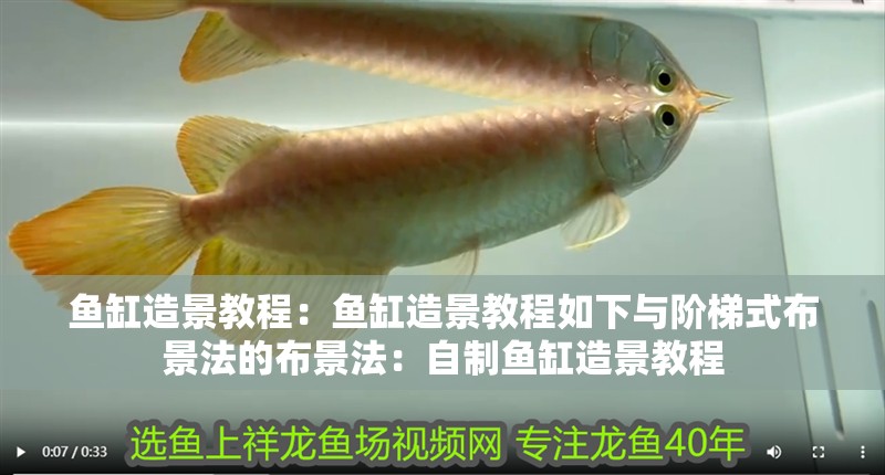 魚缸造景教程：魚缸造景教程如下與階梯式布景法的布景法：自制魚缸造景教程