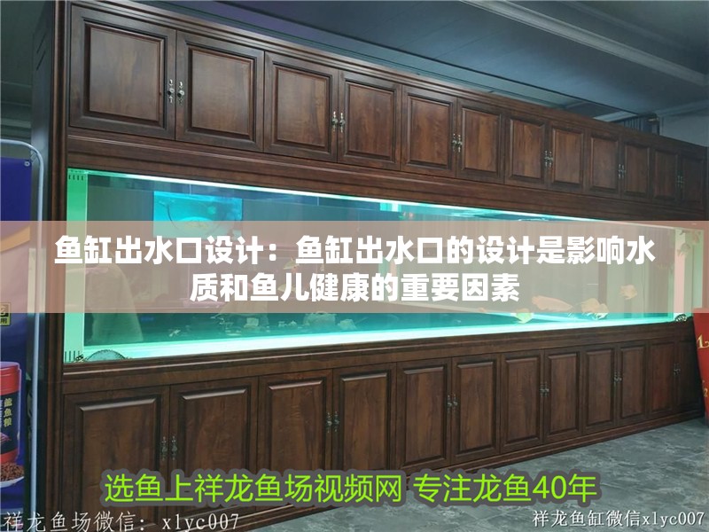 魚缸出水口設計：魚缸出水口的設計是影響水質和魚兒健康的重要因素