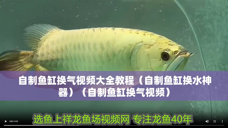自制魚缸換氣視頻大全教程（自制魚缸換水神器）（自制魚缸換氣視頻）
