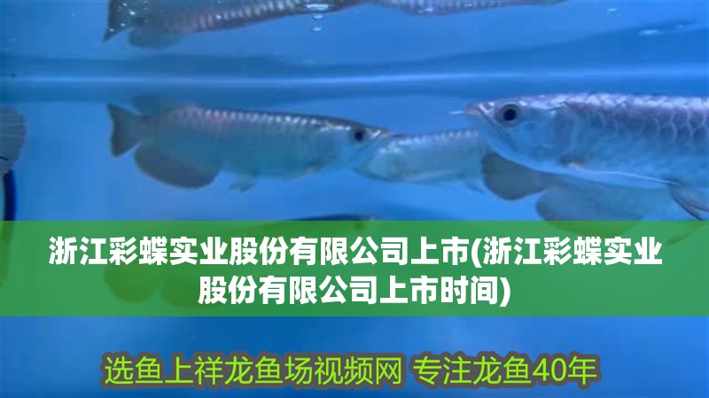 浙江彩蝶實業股份有限公司上市(浙江彩蝶實業股份有限公司上市時間) 浙江彩蝶實業股份有限公司上市(浙江彩蝶實業股份有限公司上市時間) 魚缸百科