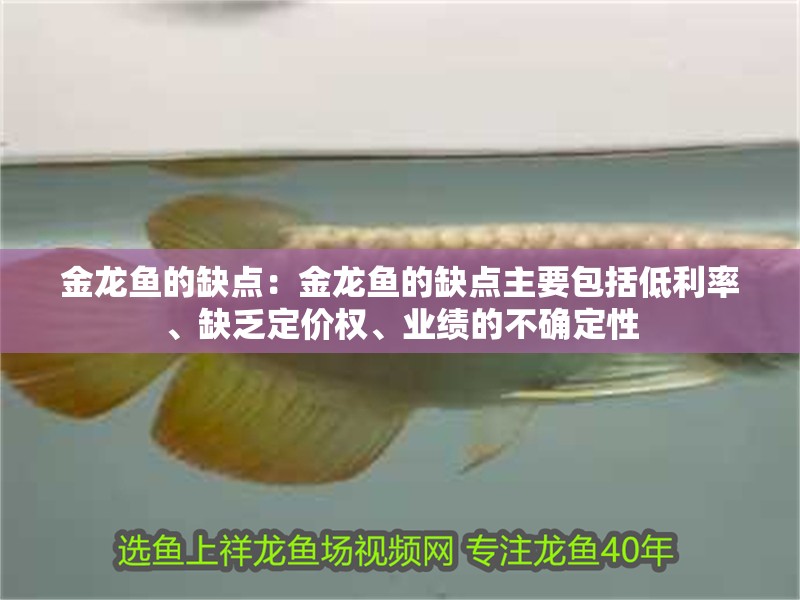 金龍魚的缺點：金龍魚的缺點主要包括低利率、缺乏定價權、業績的不確定性