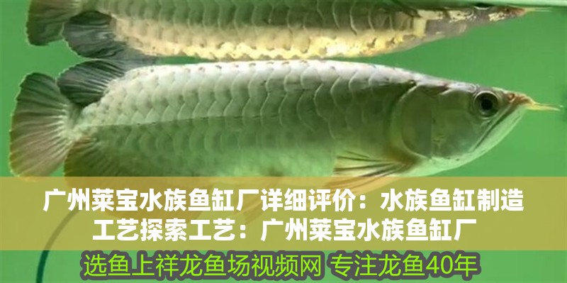 廣州萊寶水族魚缸廠詳細(xì)評價(jià)：水族魚缸制造工藝探索工藝：廣州萊寶水族魚缸廠