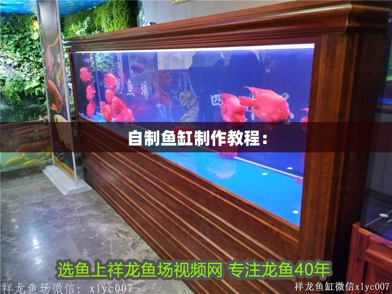 自制魚缸制作教程：