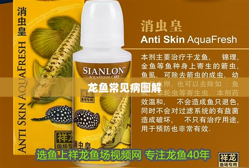 龍魚常見病圖解