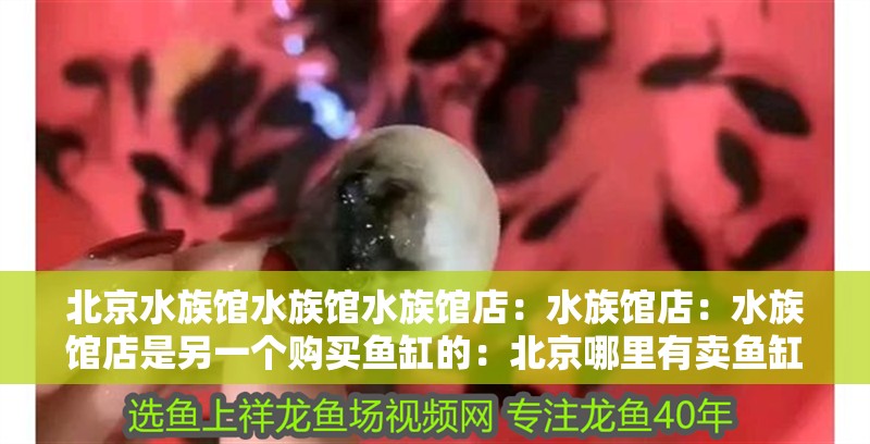 北京水族館水族館水族館店：水族館店：水族館店是另一個購買魚缸的：北京哪里有賣魚缸的地方？