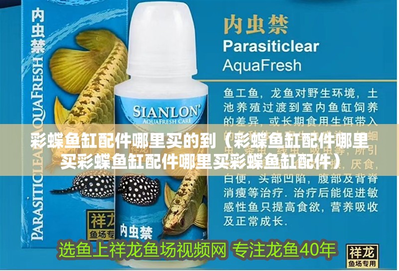 彩蝶魚缸配件哪里買的到（彩蝶魚缸配件哪里買彩蝶魚缸配件哪里買彩蝶魚缸配件） 彩蝶魚缸配件哪里買的到（彩蝶魚缸配件哪里買彩蝶魚缸配件哪里買彩蝶魚缸配件） 魚缸百科