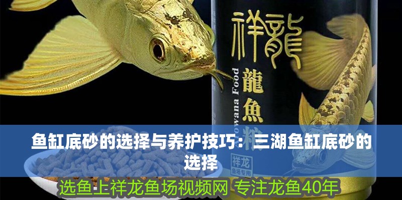 魚缸底砂的選擇與養(yǎng)護技巧：三湖魚缸底砂的選擇