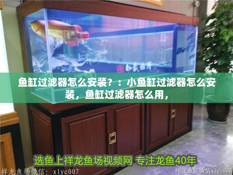 魚缸過濾器怎么安裝？：小魚缸過濾器怎么安裝，魚缸過濾器怎么用， 魚缸過濾器怎么安裝？：小魚缸過濾器怎么安裝，魚缸過濾器怎么用， 魚缸百科