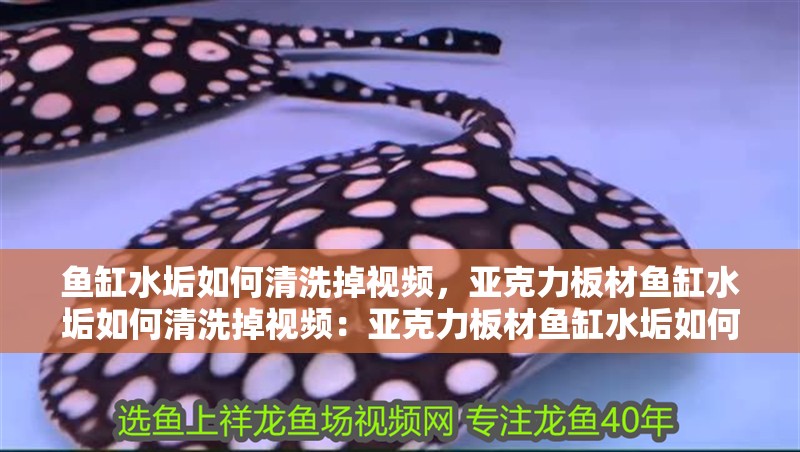 魚缸水垢如何清洗掉視頻，亞克力板材魚缸水垢如何清洗掉視頻：亞克力板材魚缸水垢如何清洗掉視頻