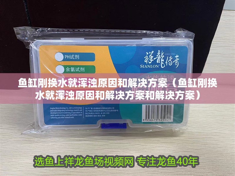 魚缸剛換水就渾濁原因和解決方案（魚缸剛換水就渾濁原因和解決方案和解決方案）