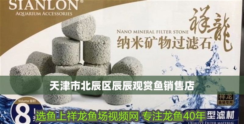 天津市北辰區辰辰觀賞魚銷售店