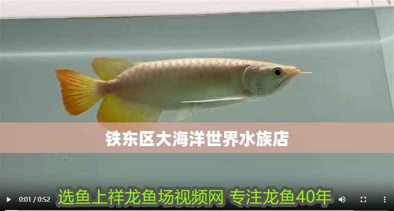 鐵東區(qū)大海洋世界水族店