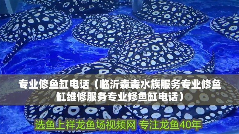 專業(yè)修魚缸電話（臨沂森森水族服務(wù)專業(yè)修魚缸維修服務(wù)專業(yè)修魚缸電話）