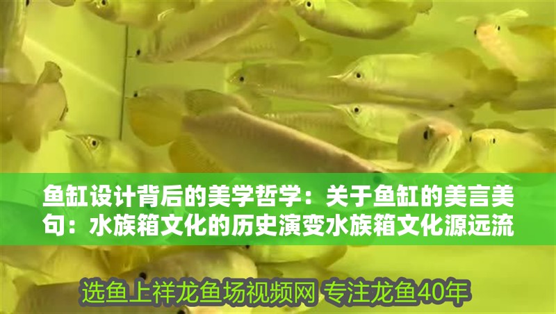 魚缸設計背后的美學哲學：關于魚缸的美言美句：水族箱文化的歷史演變水族箱文化源遠流長