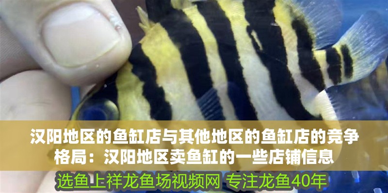 漢陽地區(qū)的魚缸店與其他地區(qū)的魚缸店的競爭格局：漢陽地區(qū)賣魚缸的一些店鋪信息