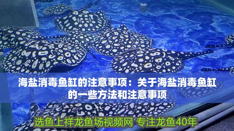 海鹽消毒魚缸的注意事項：關于海鹽消毒魚缸的一些方法和注意事項