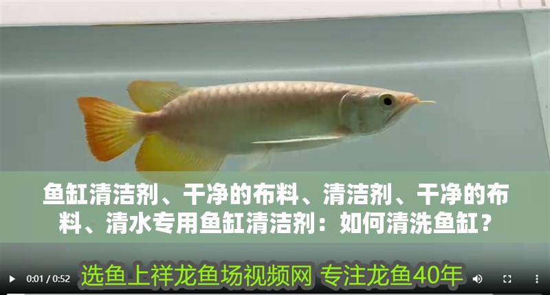 魚缸清潔劑、干凈的布料、清潔劑、干凈的布料、清水專用魚缸清潔劑：如何清洗魚缸？