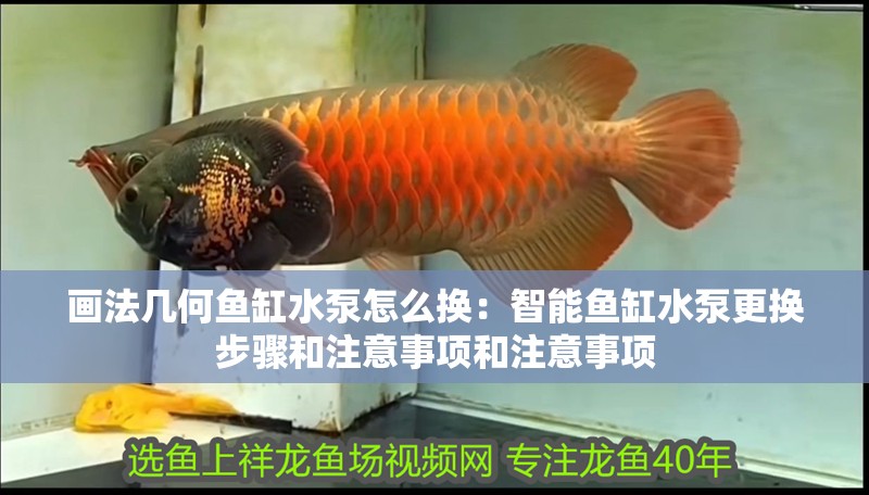 畫法幾何魚缸水泵怎么換：智能魚缸水泵更換步驟和注意事項和注意事項