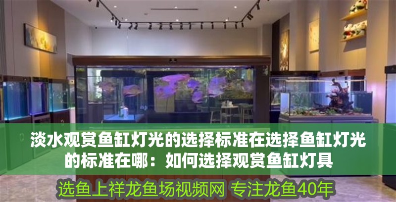 淡水觀賞魚(yú)缸燈光的選擇標(biāo)準(zhǔn)在選擇魚(yú)缸燈光的標(biāo)準(zhǔn)在哪：如何選擇觀賞魚(yú)缸燈具