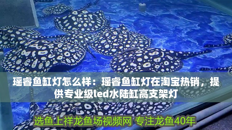 瑤睿魚缸燈怎么樣：瑤睿魚缸燈在淘寶熱銷，提供專業(yè)級led水陸缸高支架燈