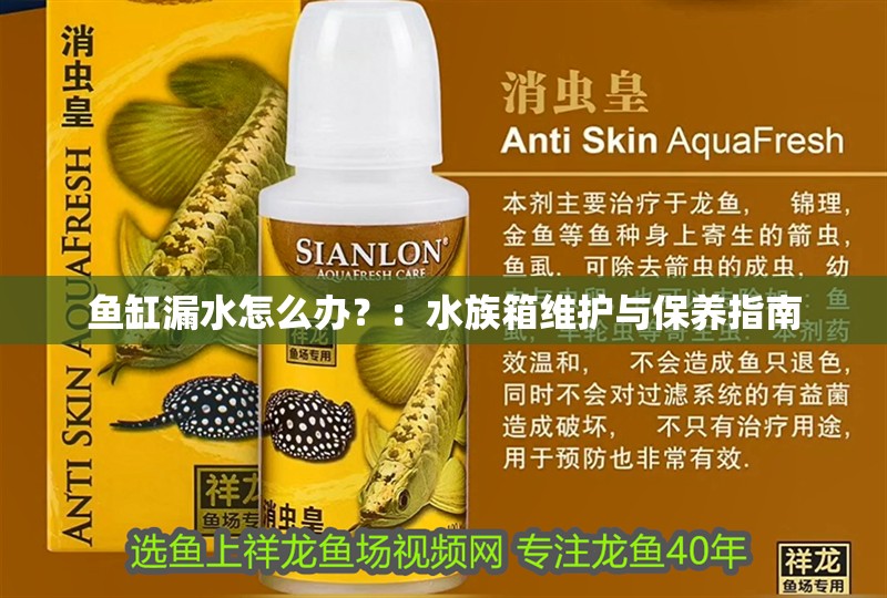 魚缸漏水怎么辦？：水族箱維護與保養指南