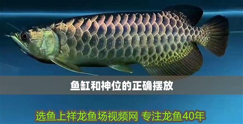 魚缸和神位的正確擺放