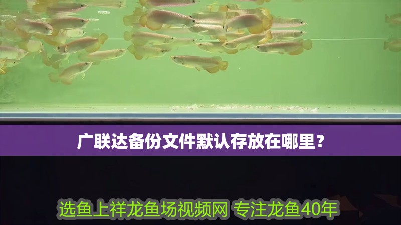 廣聯達備份文件默認存放在哪里？