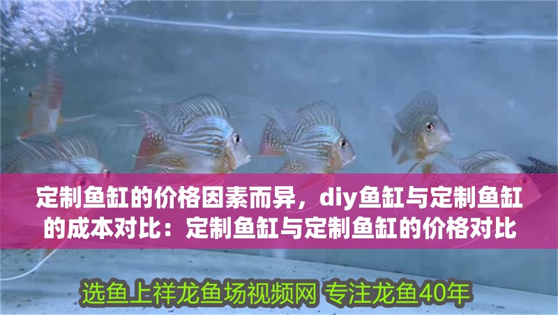 定制魚缸的價格因素而異，diy魚缸與定制魚缸的成本對比：定制魚缸與定制魚缸的價格對比